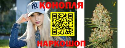 прущие крисы Будённовск