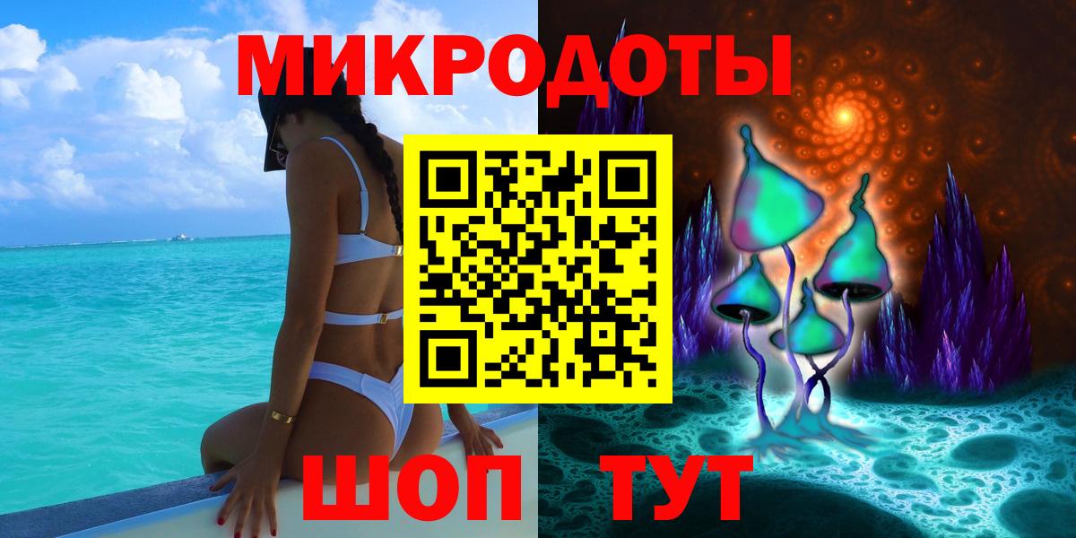 Псилоцибиновые грибы Psilocybine cubensis Саяногорск