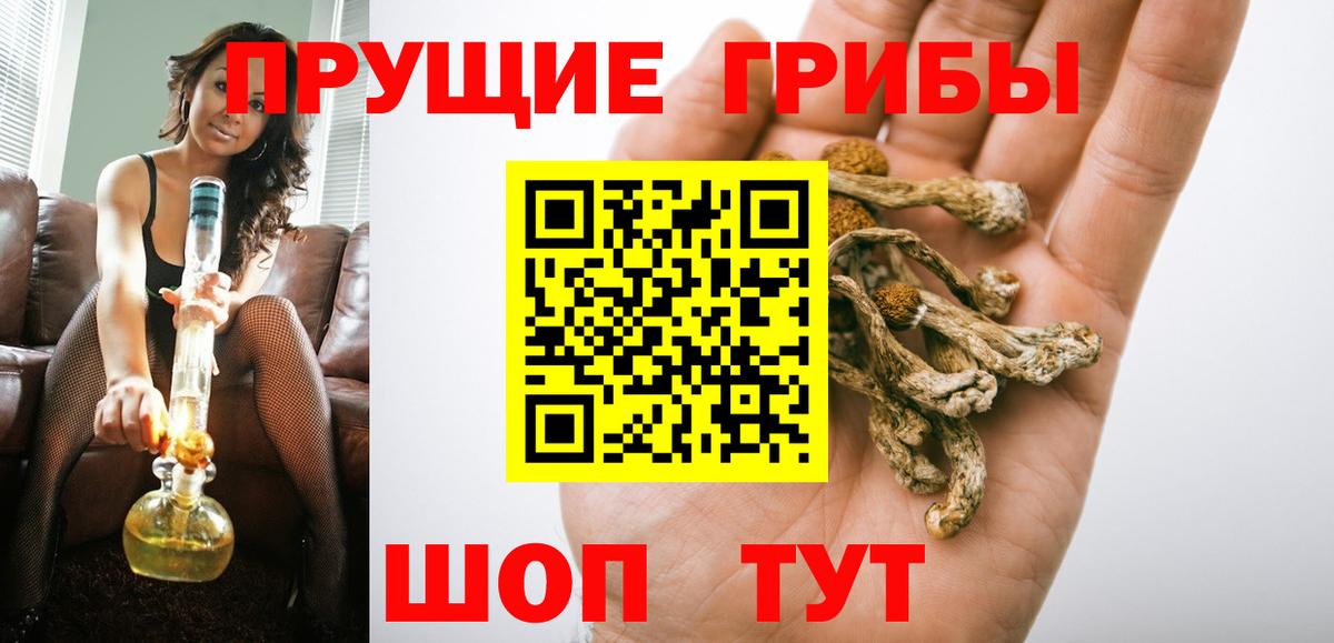 Галлюциногенные грибы Magic Shrooms  Вход с VPN  Галлюциногенные грибы GOLDEN TEACHER  цена наркотик  Саяногорск 